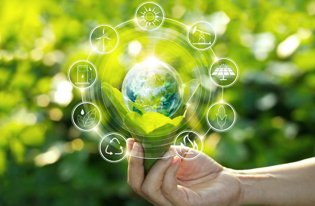 Embracing Sustainability For A Greener Future
